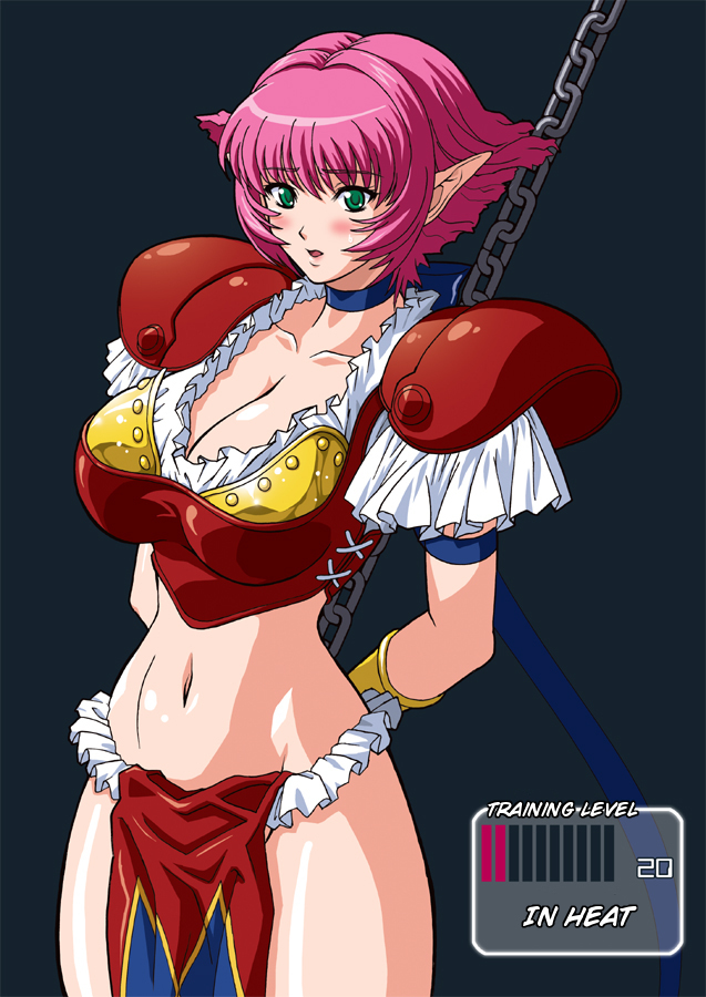 (C71) [スタジオみずよーかん (東戸塚らいすた)] HIGH CALA (Viper RSR) [英訳]