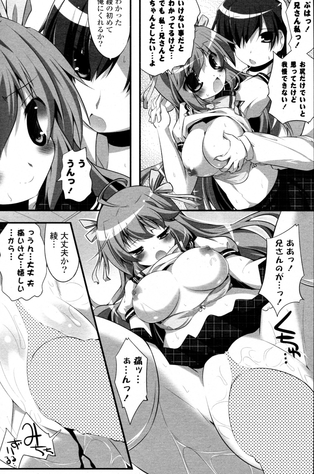 [itotin] 妹ぱらだいす! 全3話