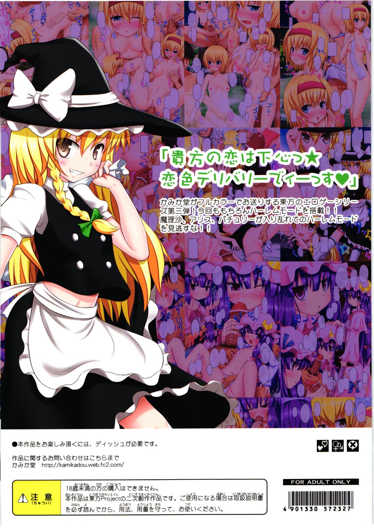 (サンクリ52) [かみか堂 (銀曜ハル)] 東方のエロゲー3 (東方Project)