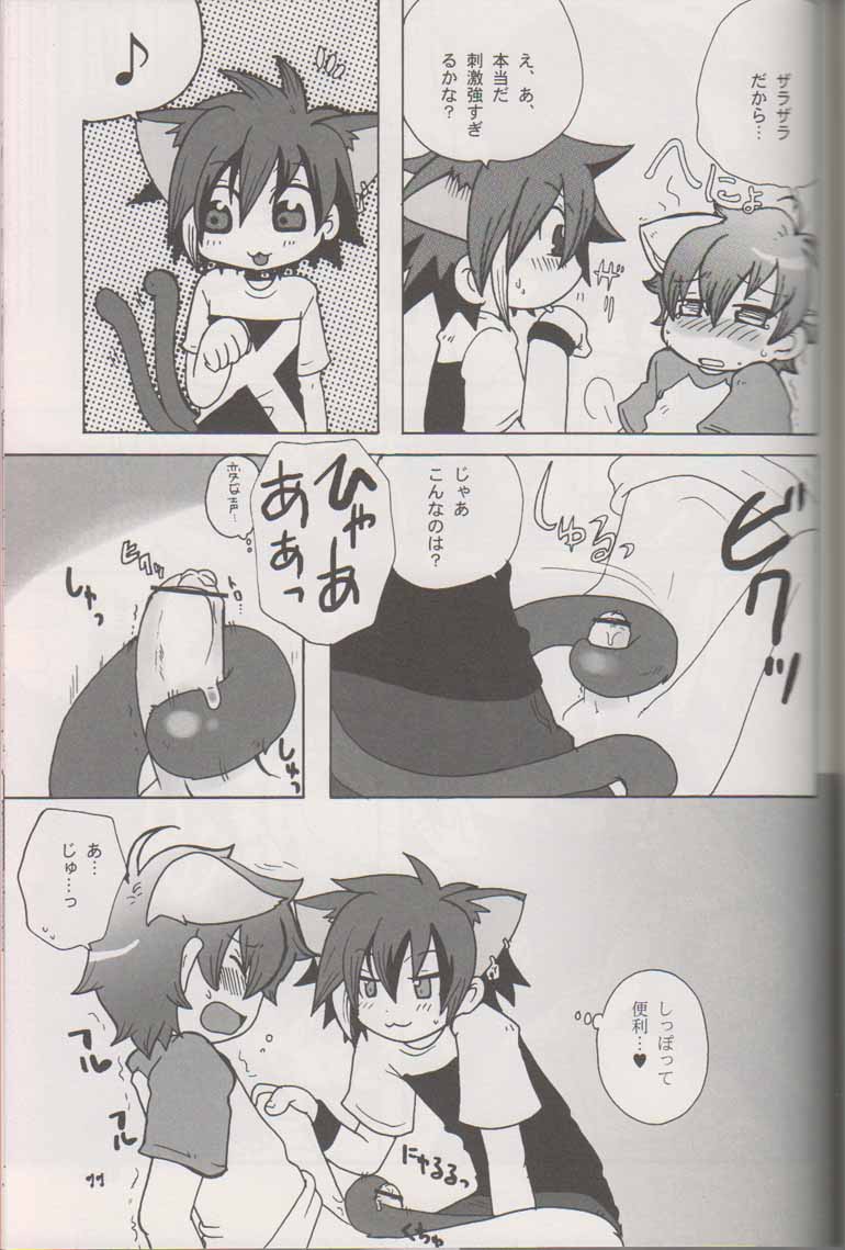(C70) [カプセルアジア (ミナガタ)] わんこと×××できたらイイナ (おねがいマイメロディ)