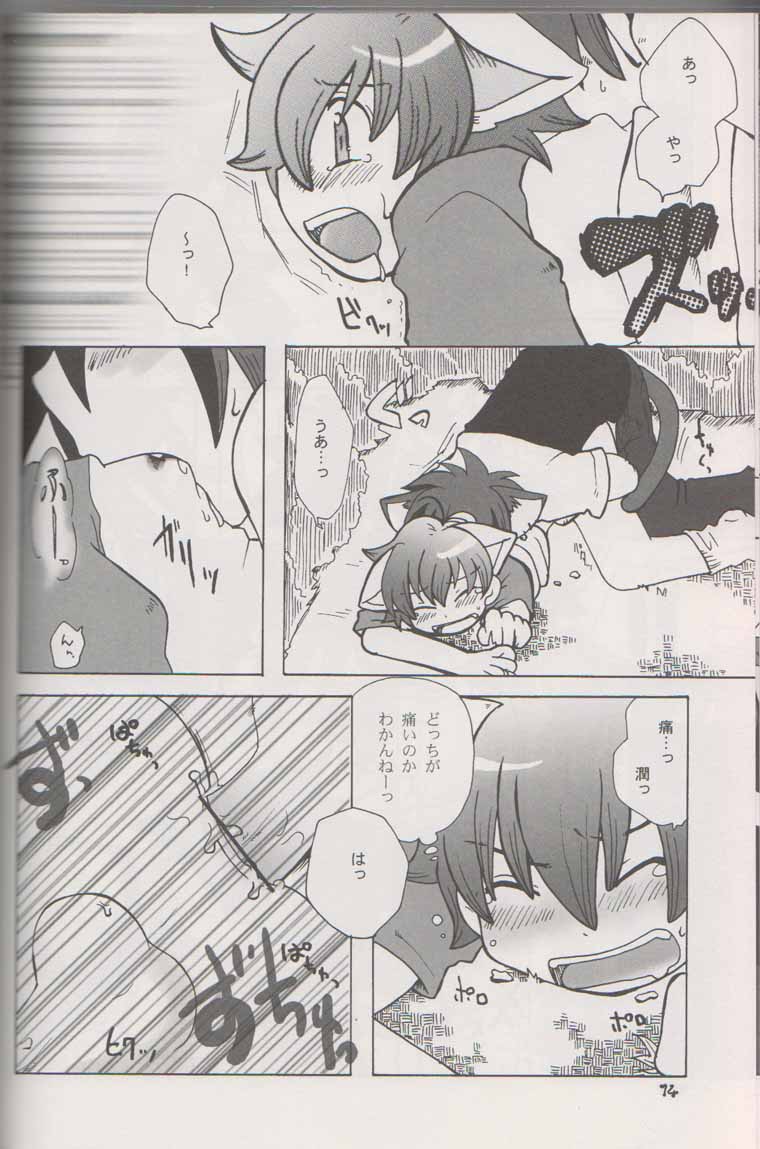 (C70) [カプセルアジア (ミナガタ)] わんこと×××できたらイイナ (おねがいマイメロディ)