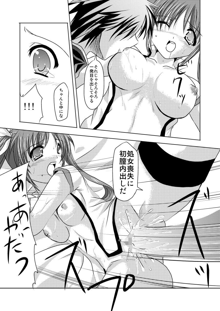 (C75) [TRICKorTREAT (神楽つくね)] InSulT III (魔法少女リリカルなのは)