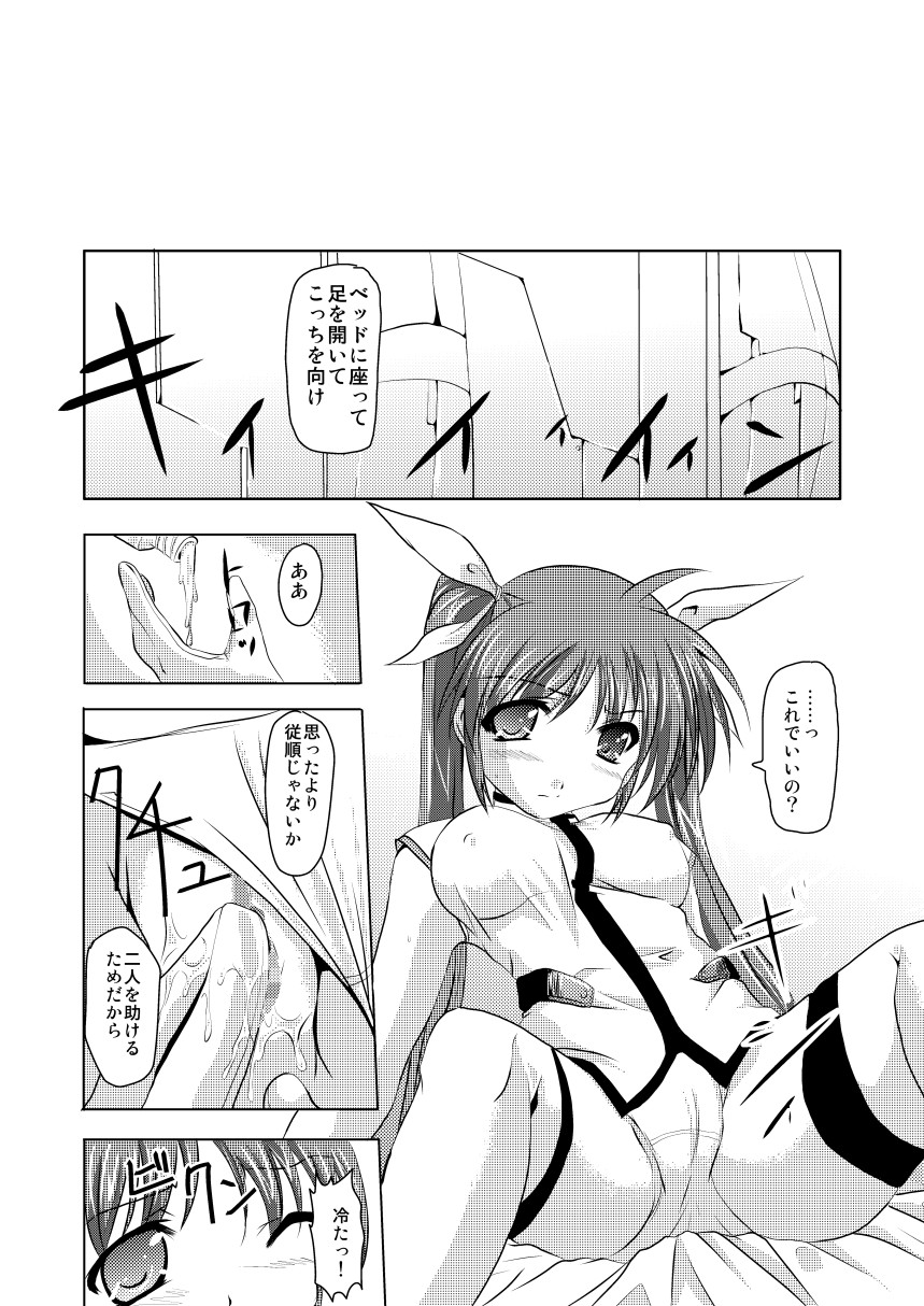 (C75) [TRICKorTREAT (神楽つくね)] InSulT III (魔法少女リリカルなのは)