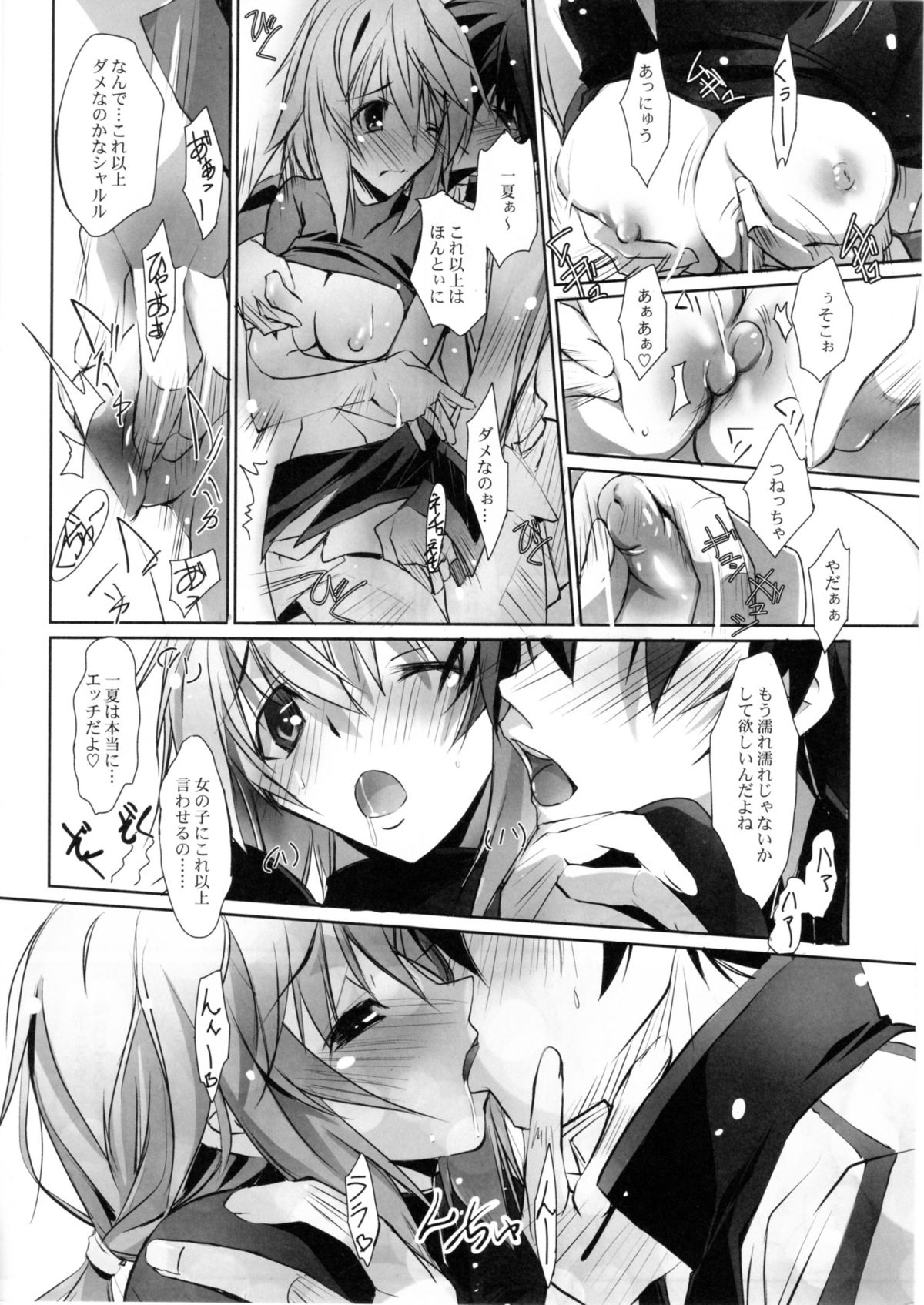 (COMIC1☆5) [流石堂 (流ひょうご)] LS Lovers-Striker II (IS＜インフィニット・ストラトス＞)