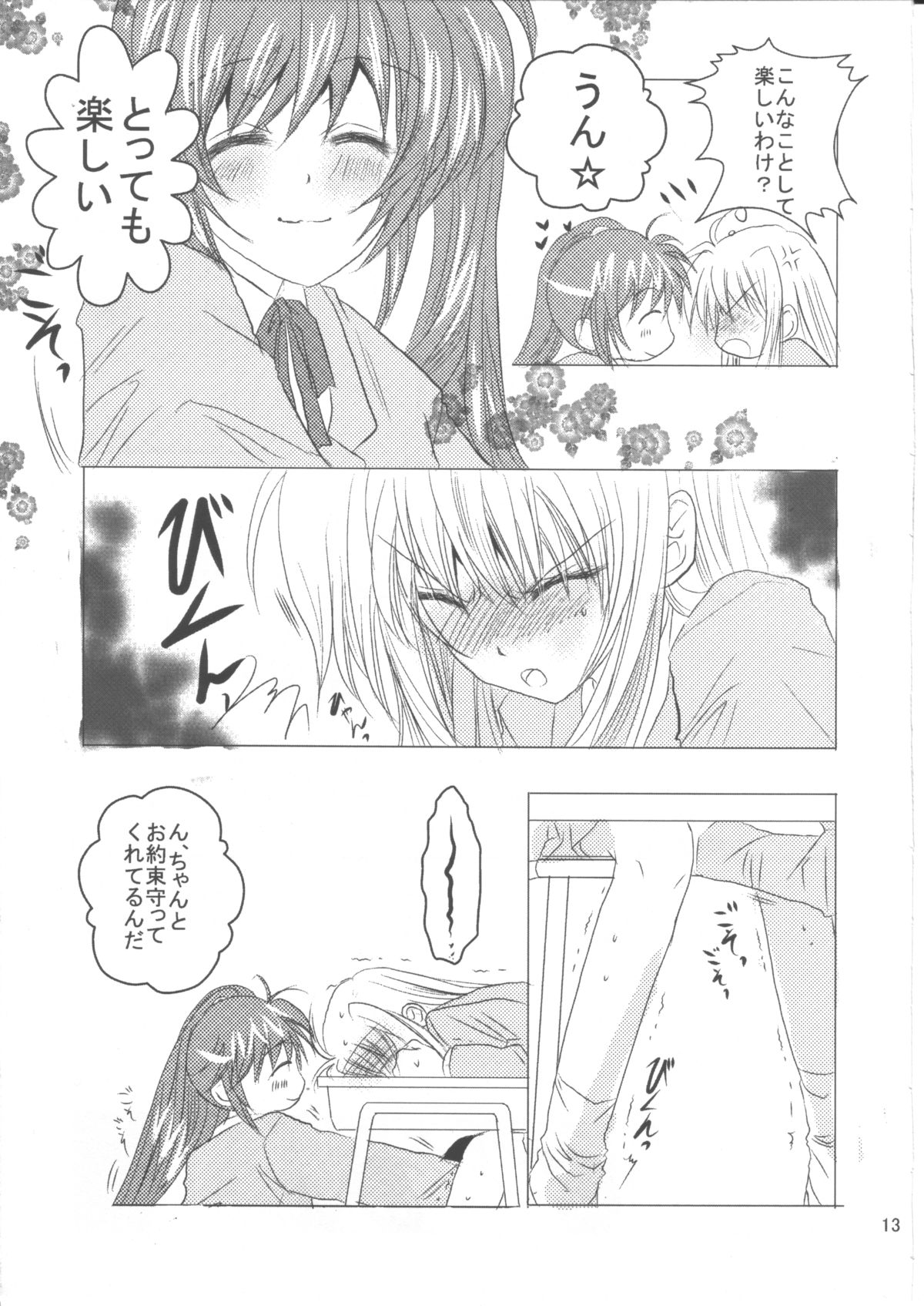 (C78) [SEA STAR (ひなささき)] SPOONFUL2.5 (魔法少女リリカルなのは)
