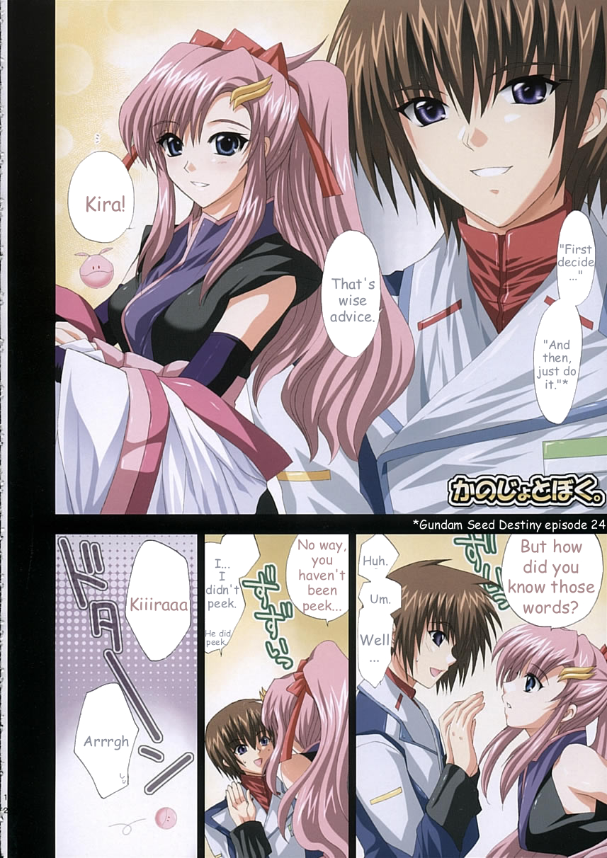 （C68）【FANTASYWIND（信濃ゆら）】満足（ガンダムSEED DESTINY）【英語】【HMedia】