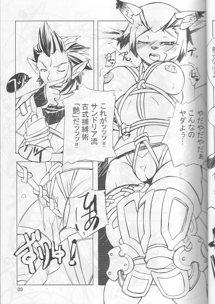 (C66) [我道塾 (かわっちひろひろ)] ネコネコぱんち (ファイナルファンタジー XI)