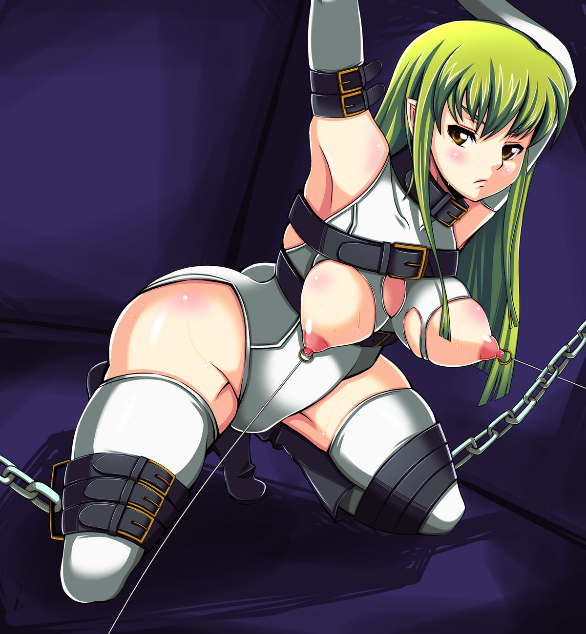(C78) [NTR戦士 (兵庫太郎 , ももてりす)] トリビュートCC (コードギアス 反逆のルルーシュ)