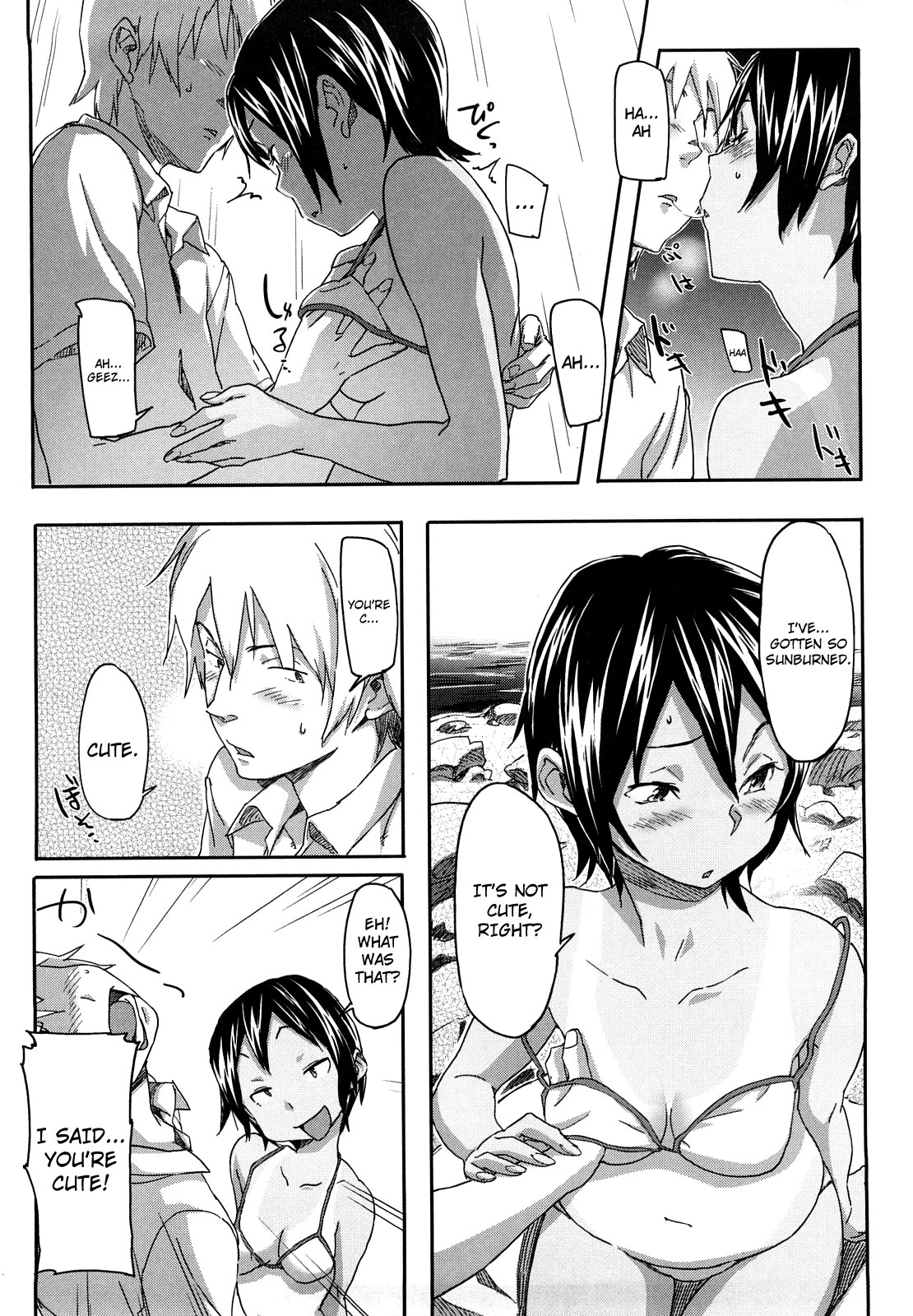 [さめだ小判] ピンクチェリー ぱい [英訳]