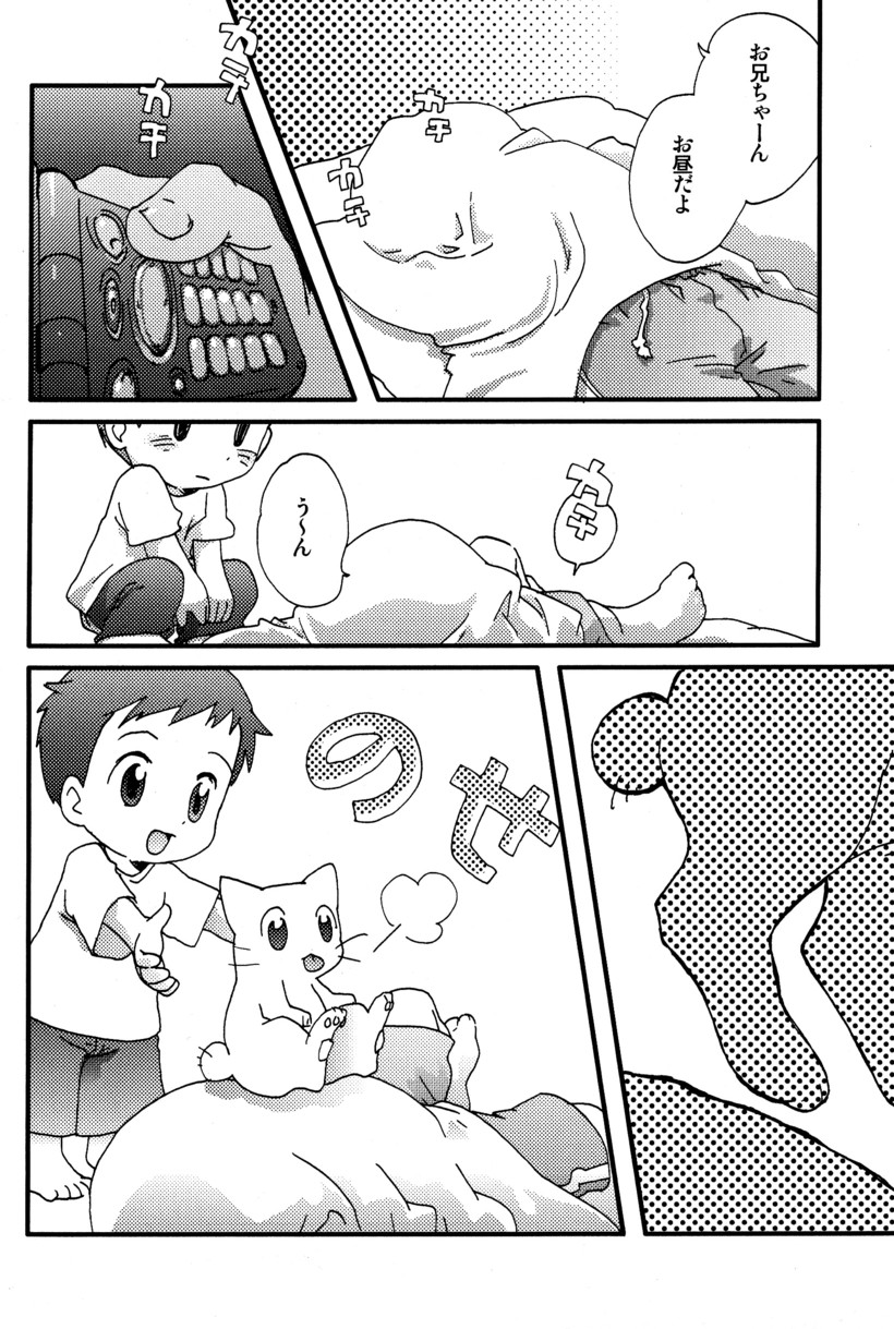 (C66) [5/4 (よろず)] 季刊ぼくのおにいちゃん夏号
