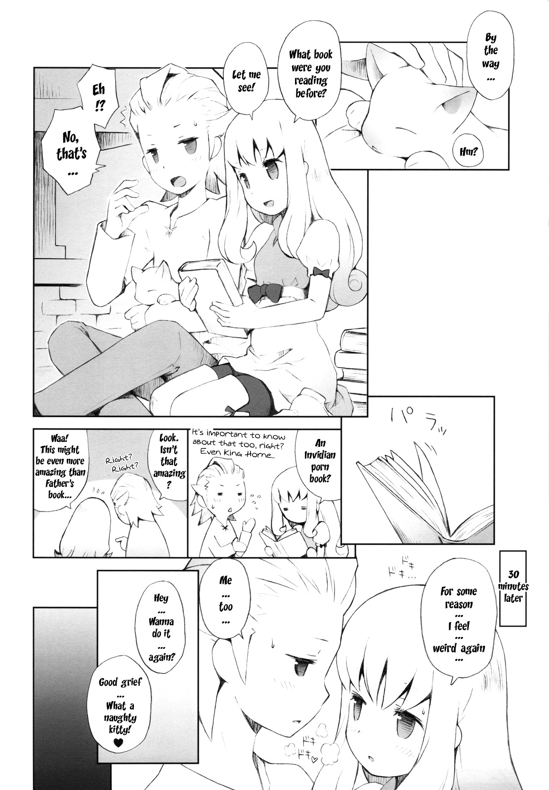 (COMIC1☆4) [ばくはつBRS. (B.たろう)] Cat Princess (FF外伝 光の4戦士) [英訳]