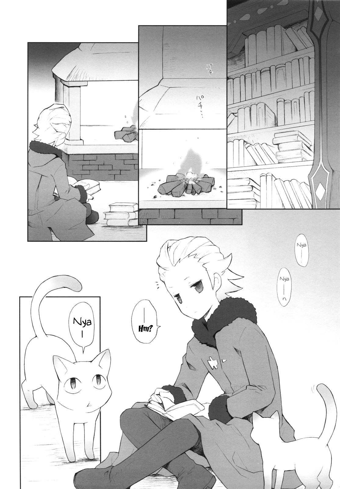(COMIC1☆4) [ばくはつBRS. (B.たろう)] Cat Princess (FF外伝 光の4戦士) [英訳]