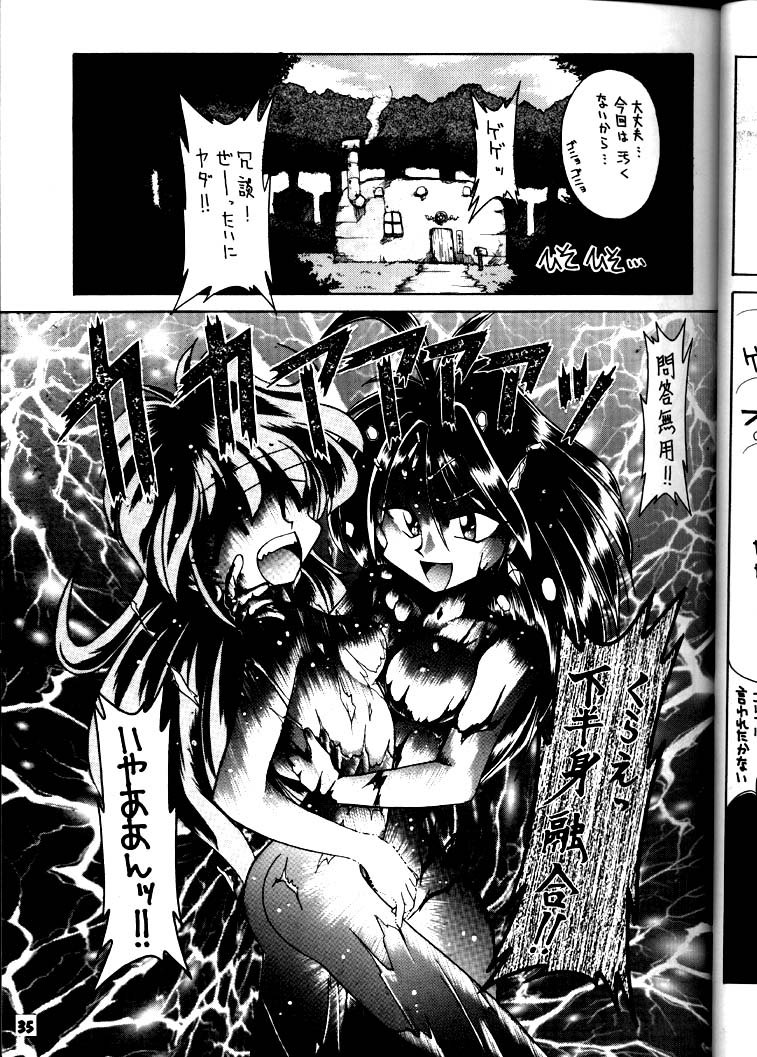 (C50) [豺狼出版 (J・さいろー)] 豺 Volume.3 (スレイヤーズ, 美少女戦士セーラームーン)