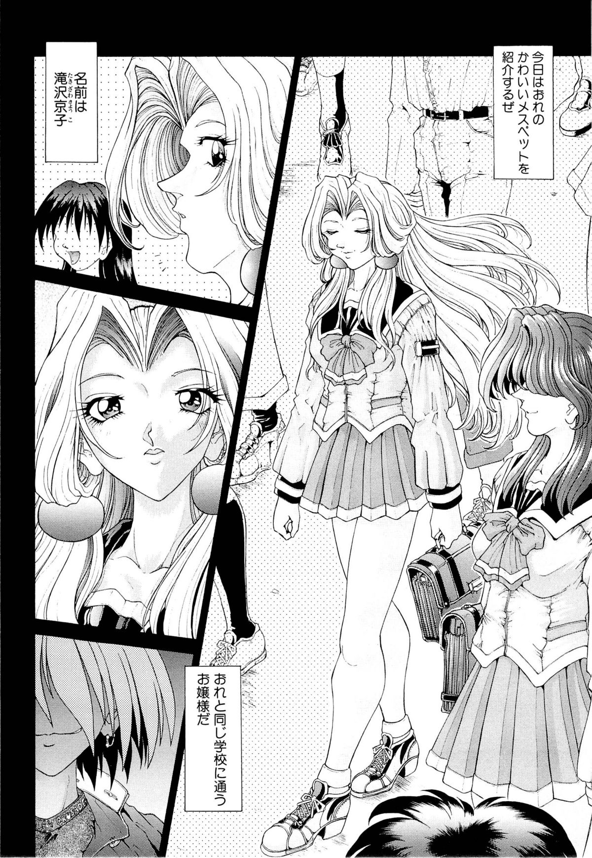 [粗雑那絵] 夢幻回想ファントムリコレクション