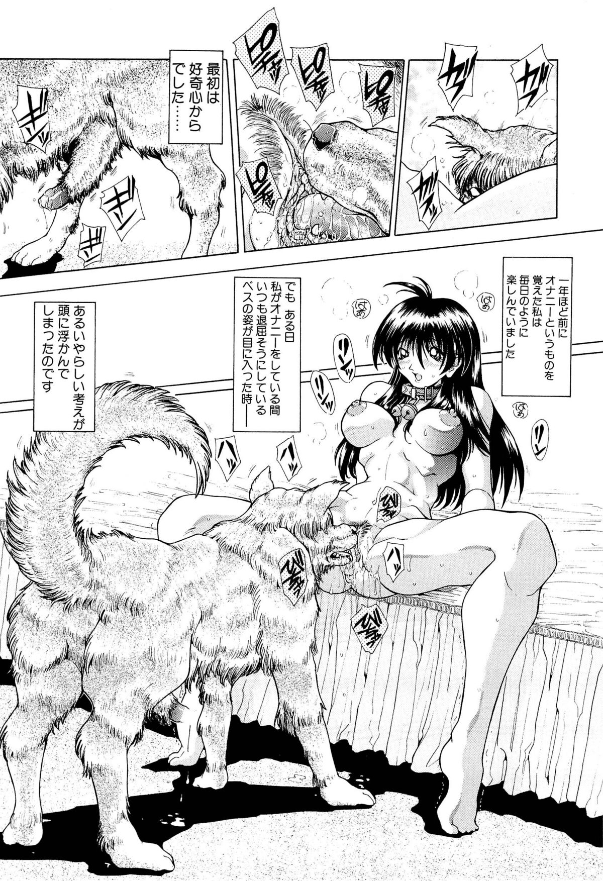 [粗雑那絵] 夢幻回想ファントムリコレクション