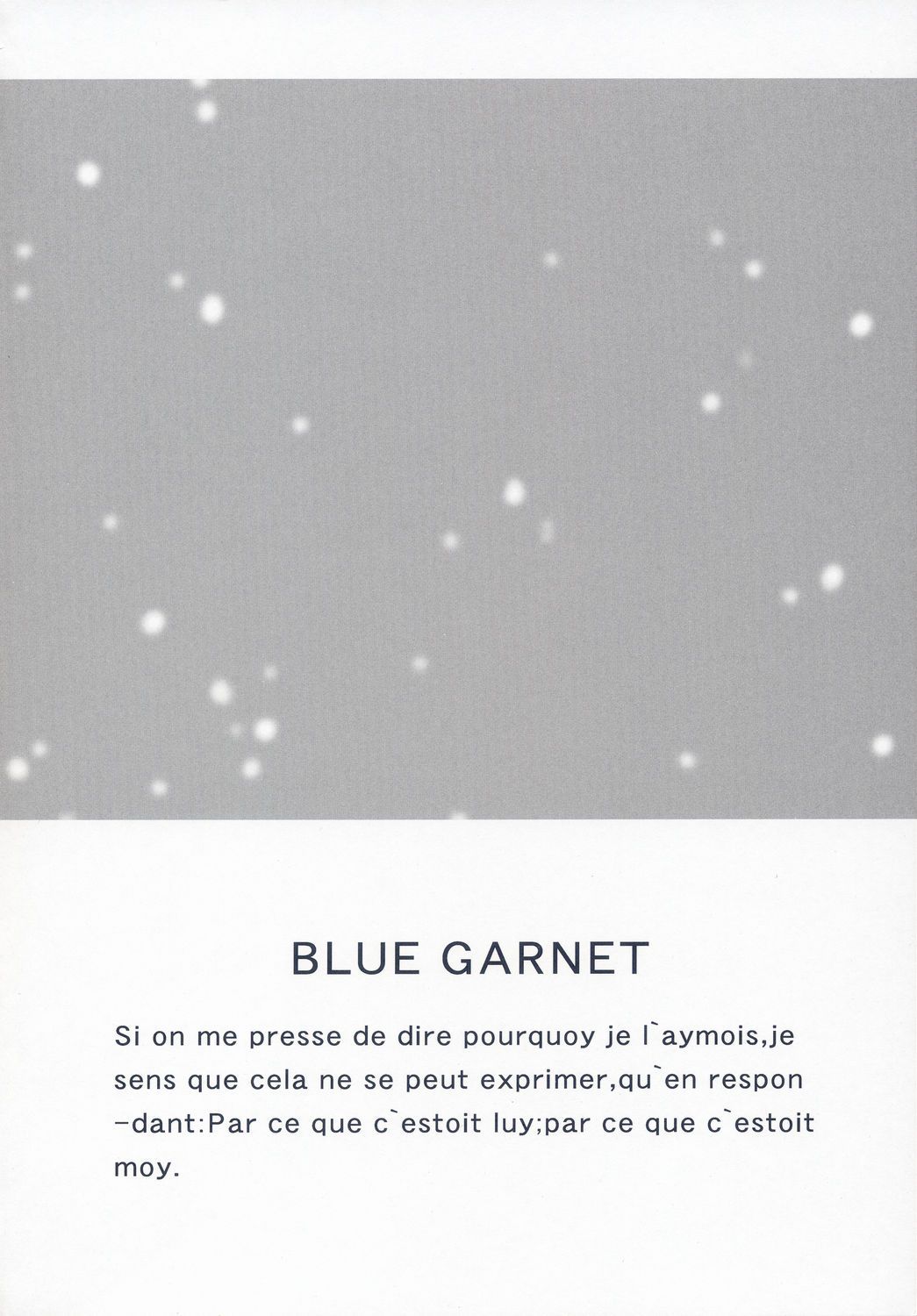 (C66) [BLUE GARNET (芹沢克己)] BLUE GARNET XVII (Fate/stay night)