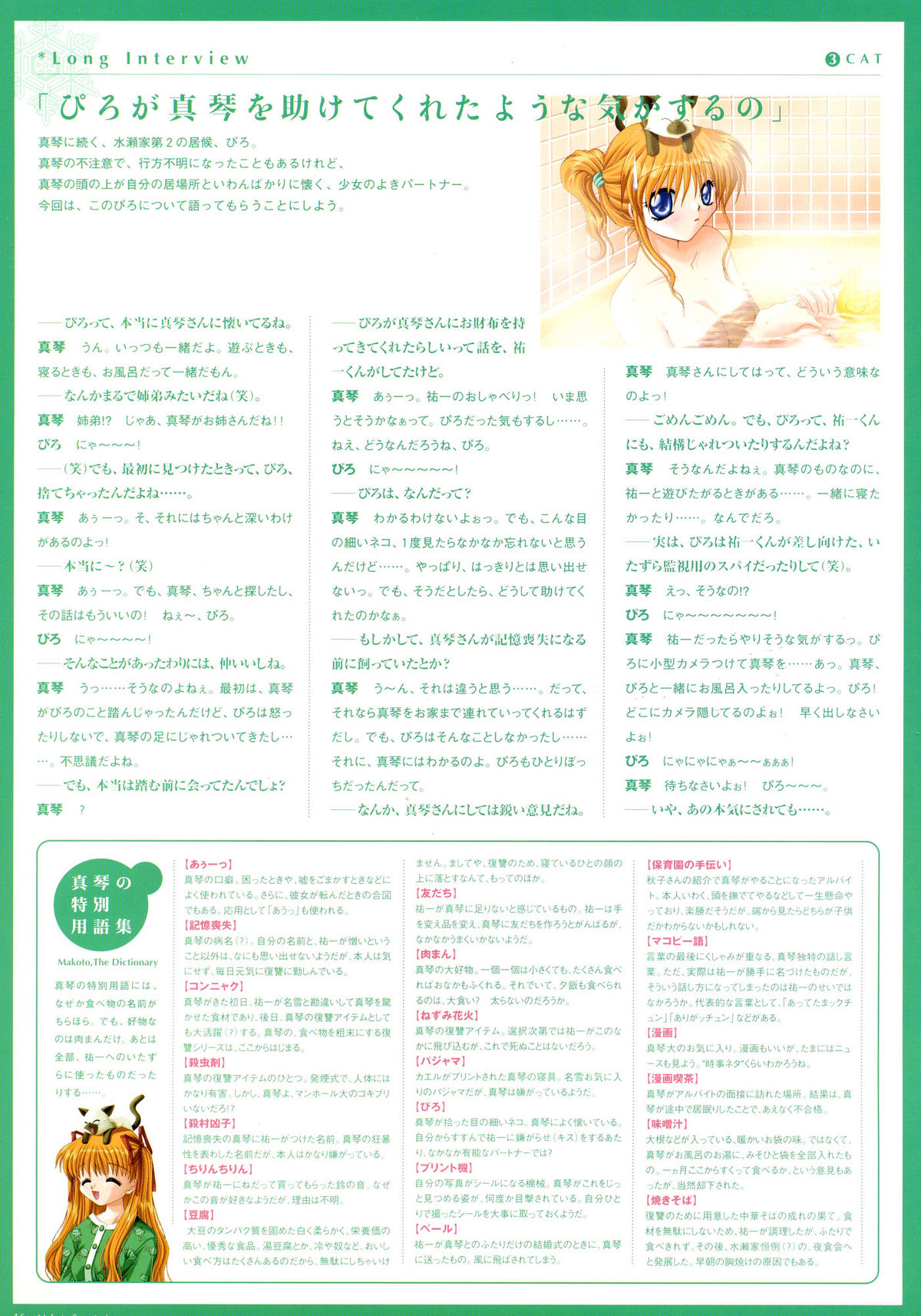 カノンビジュアルファンブック