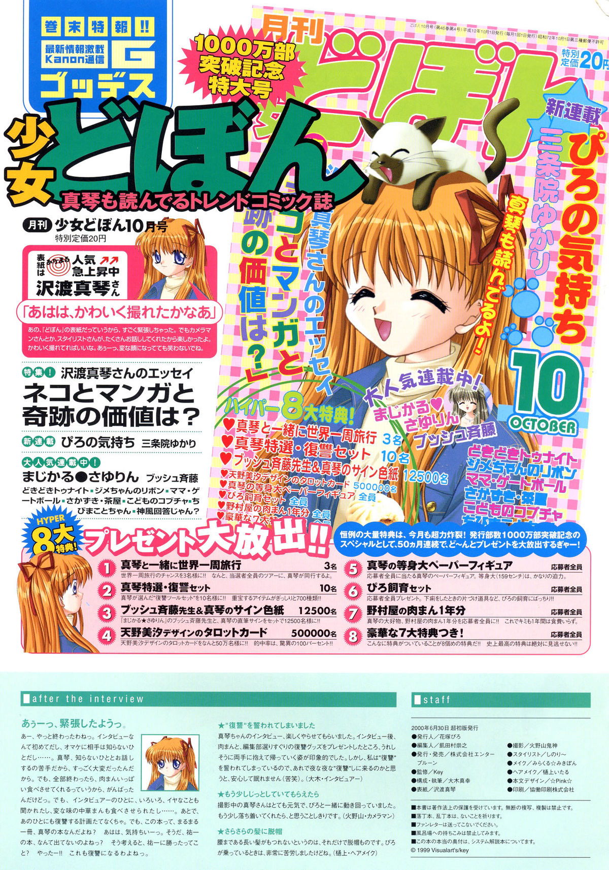 カノンビジュアルファンブック