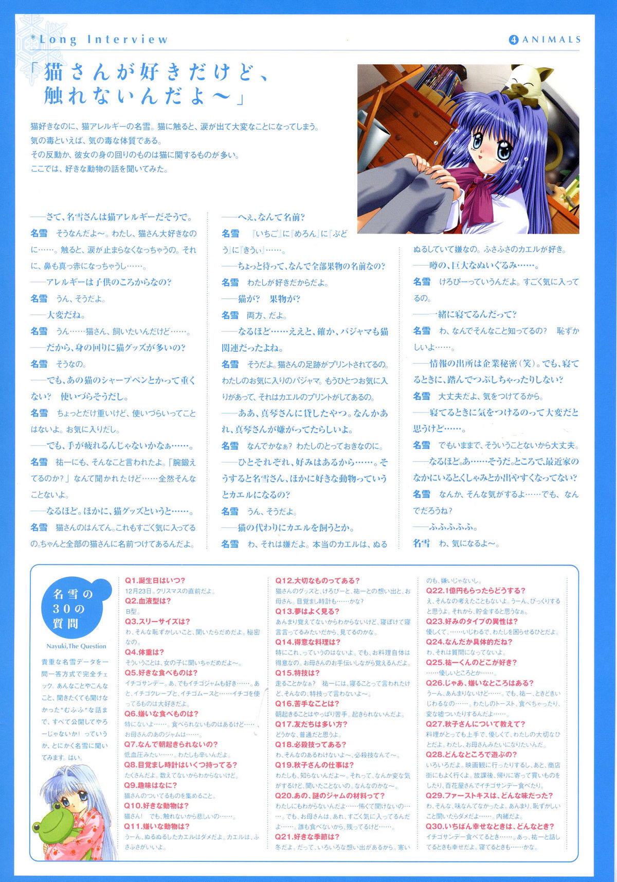 カノンビジュアルファンブック