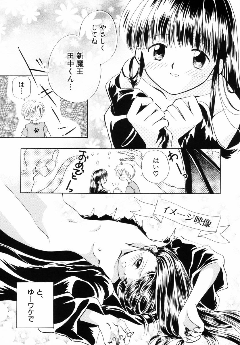 [流星ひかる] いつか、王子さまが。