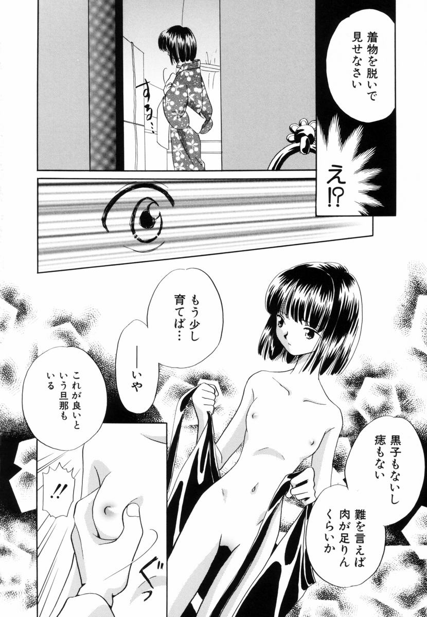 [流星ひかる] いつか、王子さまが。