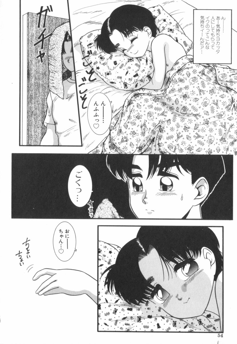 [中ノ尾恵] すてきなインセスト