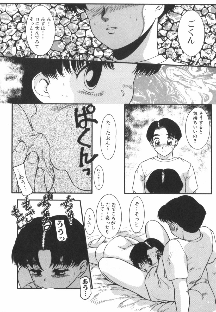 [中ノ尾恵] すてきなインセスト