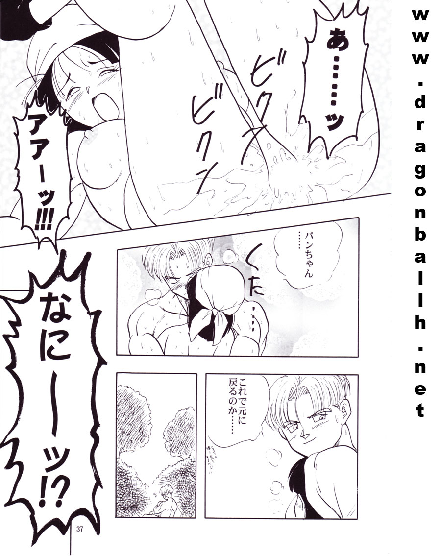 【翔二ハリコ】ZZ（ドラゴンボールZ）