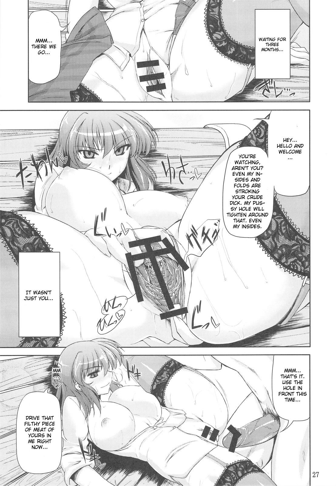 (C77) [04U (陵たすく)] 太陽の畑にて･それから + ペーパー (東方Project) [英訳]