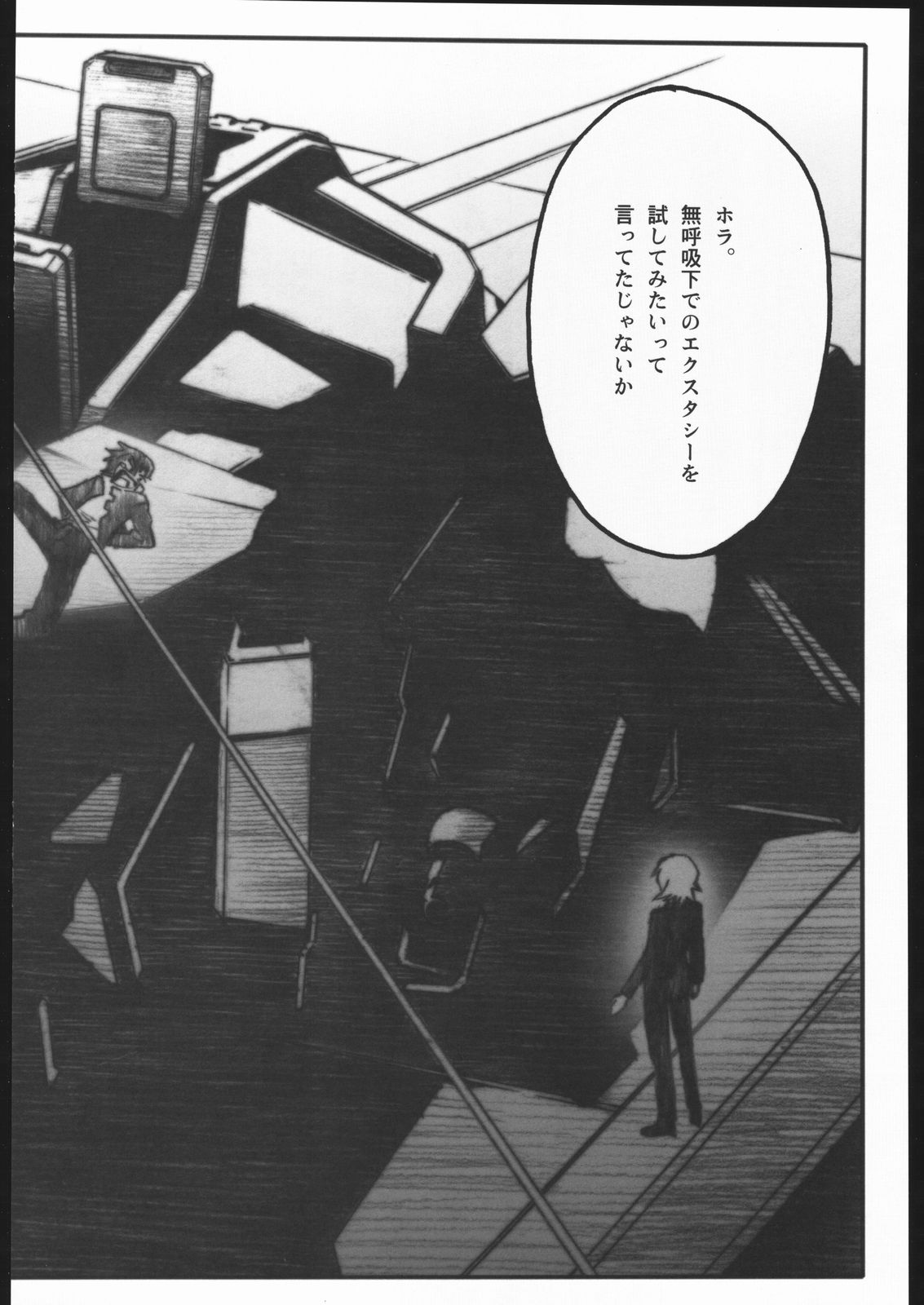 [PIGGSTAR (名古屋鯱八)] REBORN (ガンダムSEED DESTINY)
