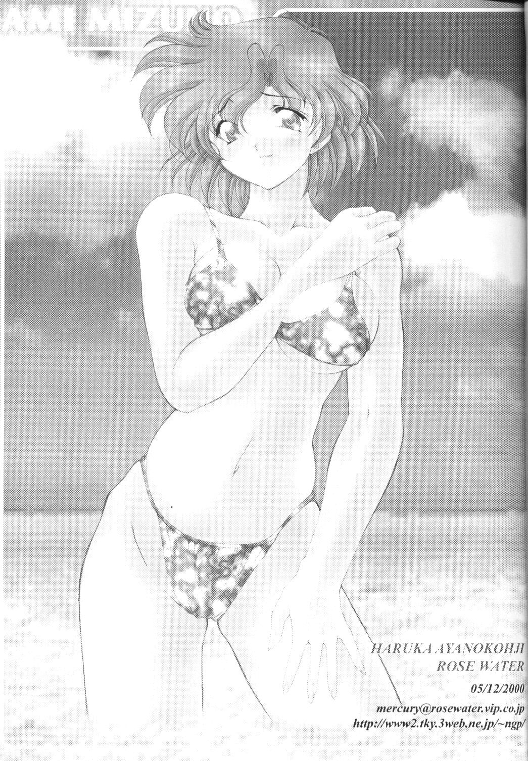 (C58) [ROSE WATER (綾小路はるか)] ROSE WATER 11 ROSE FEVER (美少女戦士セーラームーン)