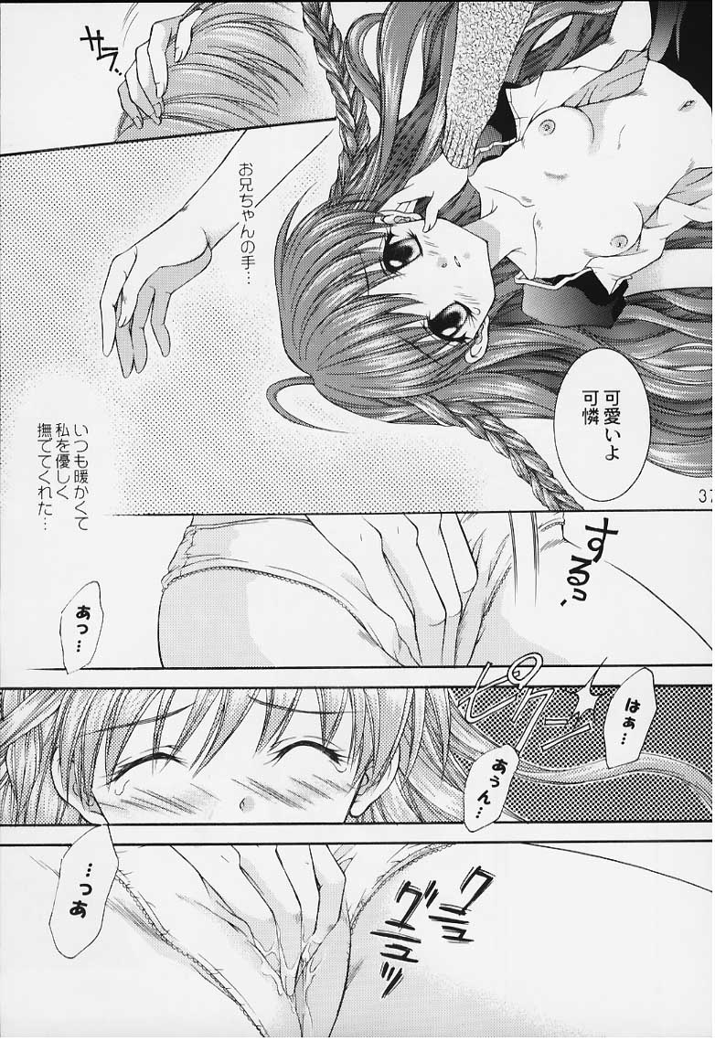 [猫見屋 (猫見春人)] 12 cuties (シスタープリンセス)
