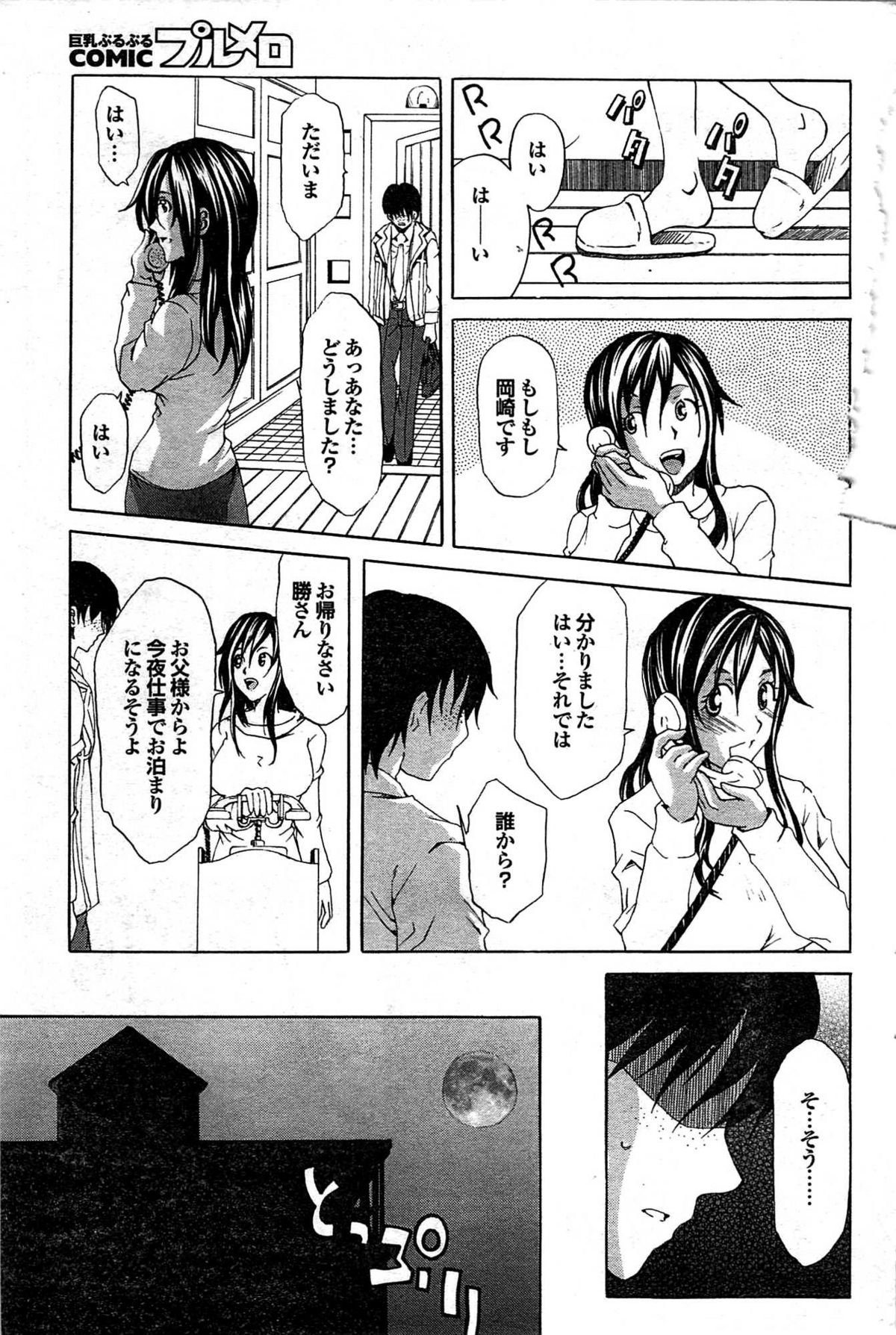 COMIC プルメロ 2008年03月号 vol.15