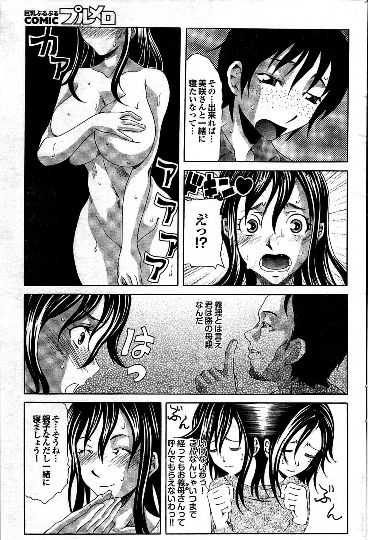 COMIC プルメロ 2008年03月号 vol.15