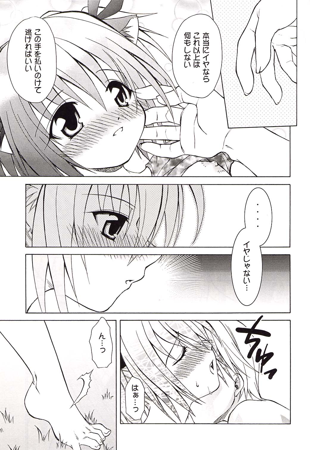 (C62) [スタジオ・ワラビー (士崎雅雪)] Strawberry sex (東京ミュウミュウ)