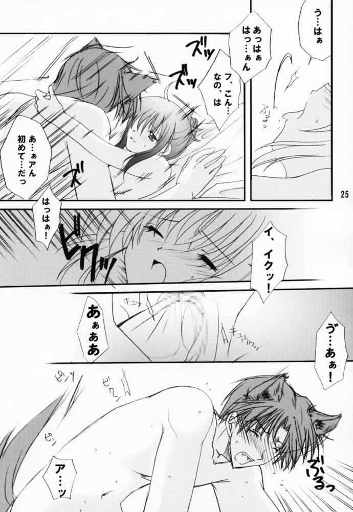 [LoveLess (佐渡悠花)] 恋愛の教訓 V (シスタープリンセス)
