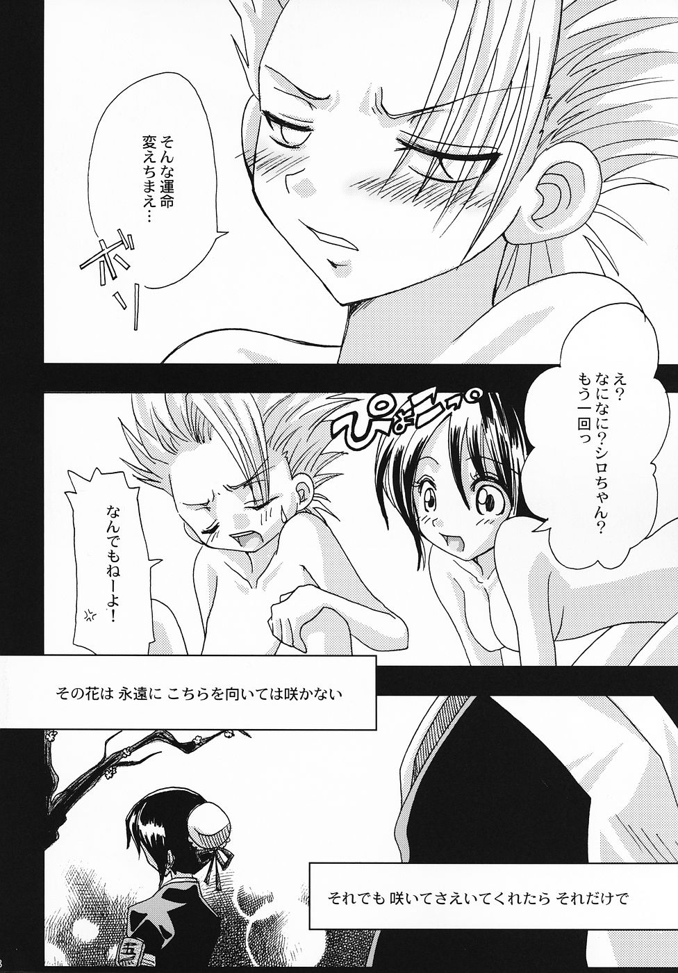 (C69) [LADY VERMILION (花祭まみ子, こじまあや)] 護廷十三番隊死神乙女白書 2 (ブリーチ)
