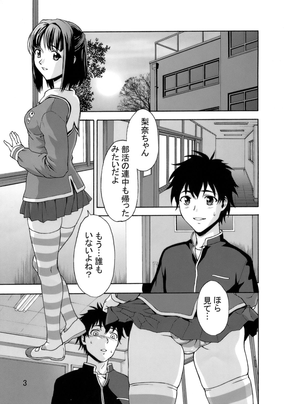 (C73) [Tridisaster (さいだ一明)] 絶対領域侵入罪 Crime編