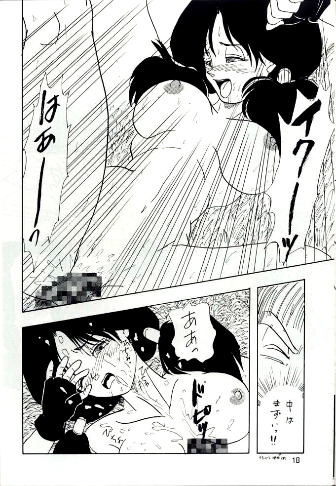 [ちり紙小屋, ふすま御殿 (障子張子)] YYY (ドラゴンボール)