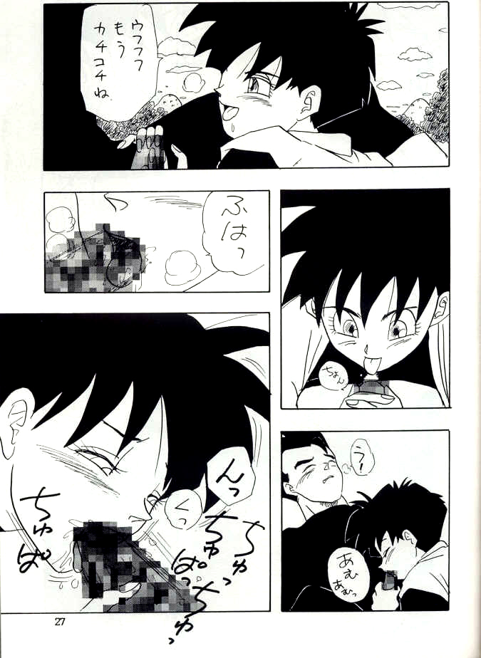 [ちり紙小屋, ふすま御殿 (障子張子)] YYY (ドラゴンボール)
