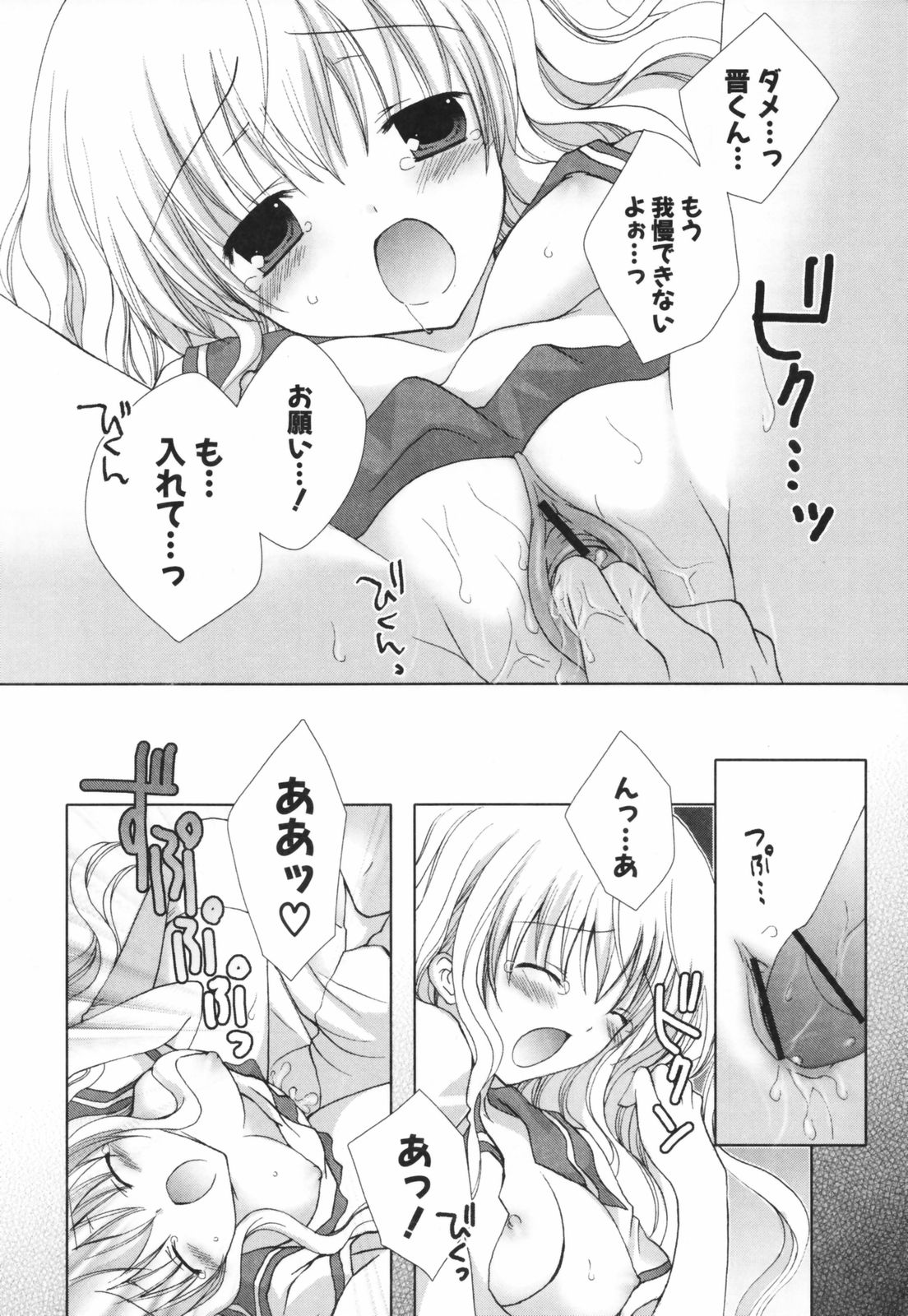 [シロガネヒナ] ヒナコレ。