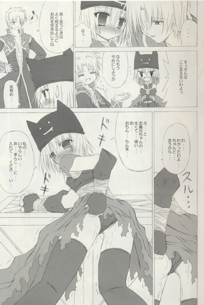 (サンクリ23) [のっぴき屋 (はすま)] SISTERHOOD-R (ラグナロクオンライン)