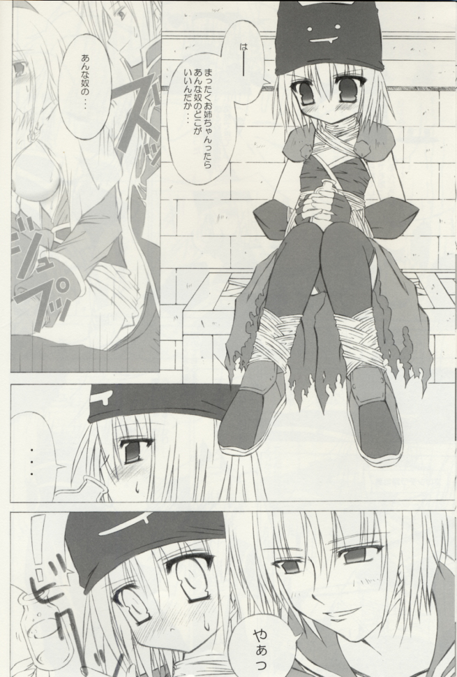 (サンクリ23) [のっぴき屋 (はすま)] SISTERHOOD-R (ラグナロクオンライン)