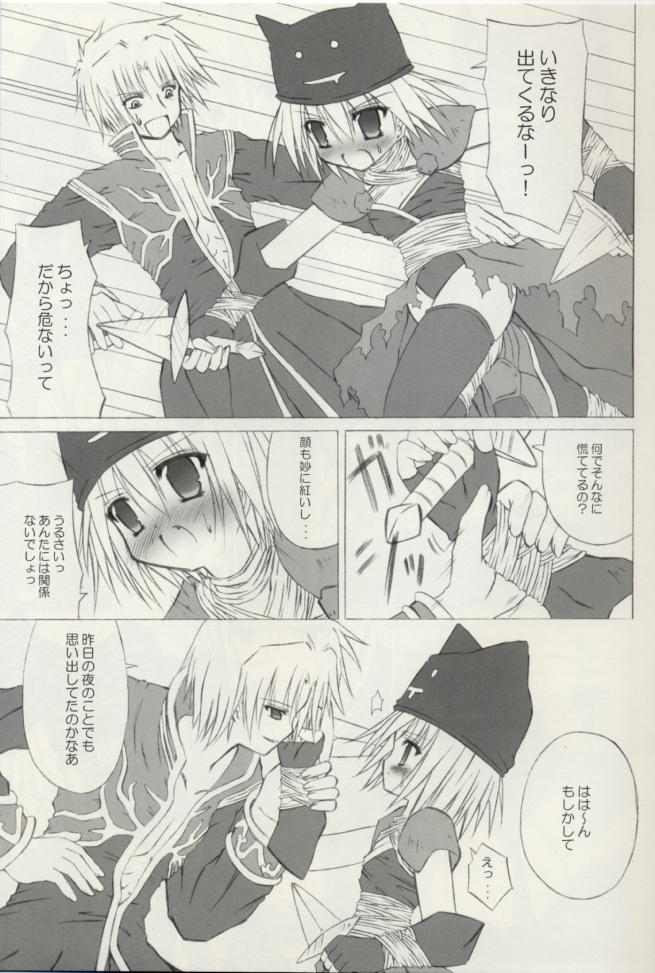 (サンクリ23) [のっぴき屋 (はすま)] SISTERHOOD-R (ラグナロクオンライン)