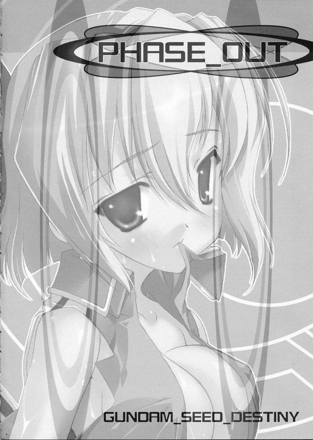 (C67) [ESSENTIA (藤真拓哉)] PHASE_OUT (	機動戦士ガンダムSEED DESTINY)