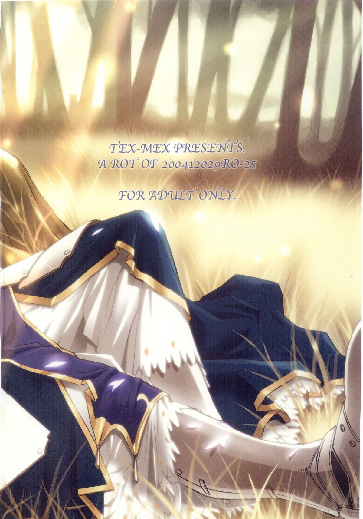 (C67) [TEX-MEX (よろず)] Fate/Over lord (Fate/stay night)