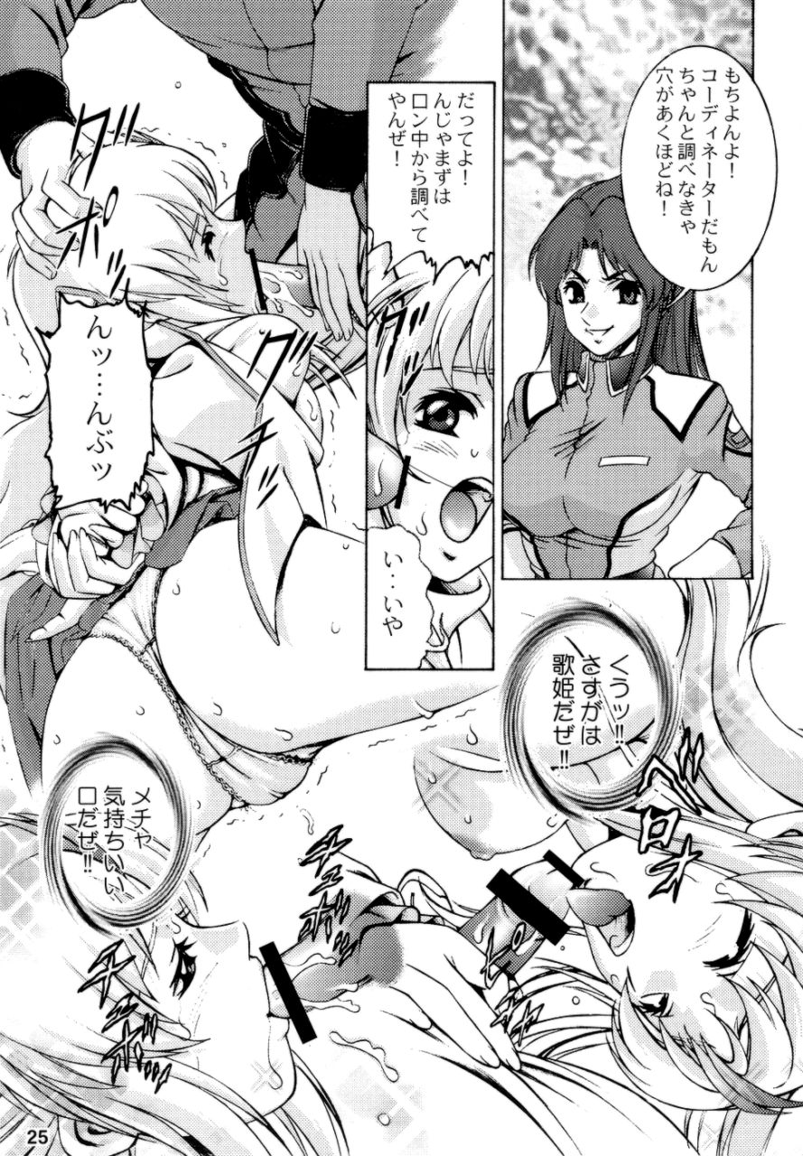 (CR35) [三流倶楽部 (鈴木がんま , 鈴木キムチ)] おかづ畑 (機動戦士ガンダムSEED)