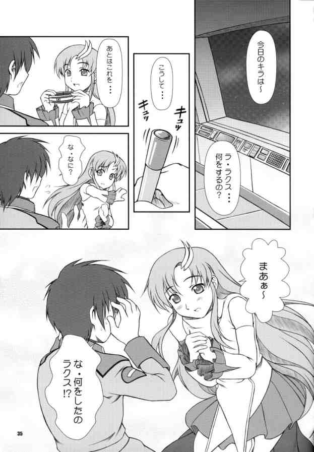[御伽屋 (三月春人)] BATTLE OF TWINS～結末の絆～ (機動戦士ガンダムSEED)