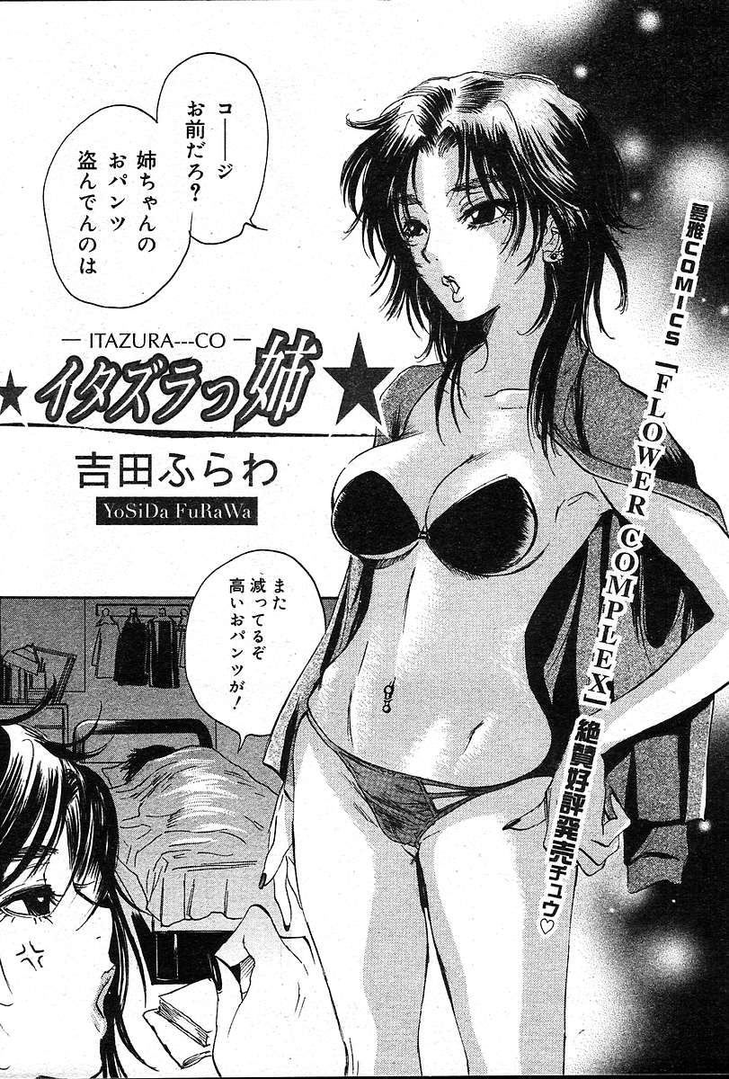 COMIC Muga 2004-12、2005-01の組み合わせ