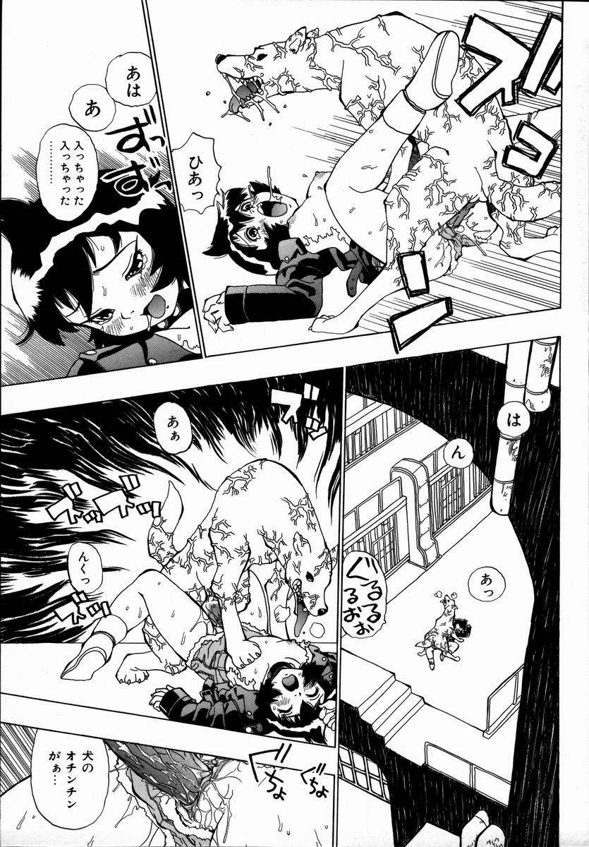 [ペニシリンXI] みだれて御一行様
